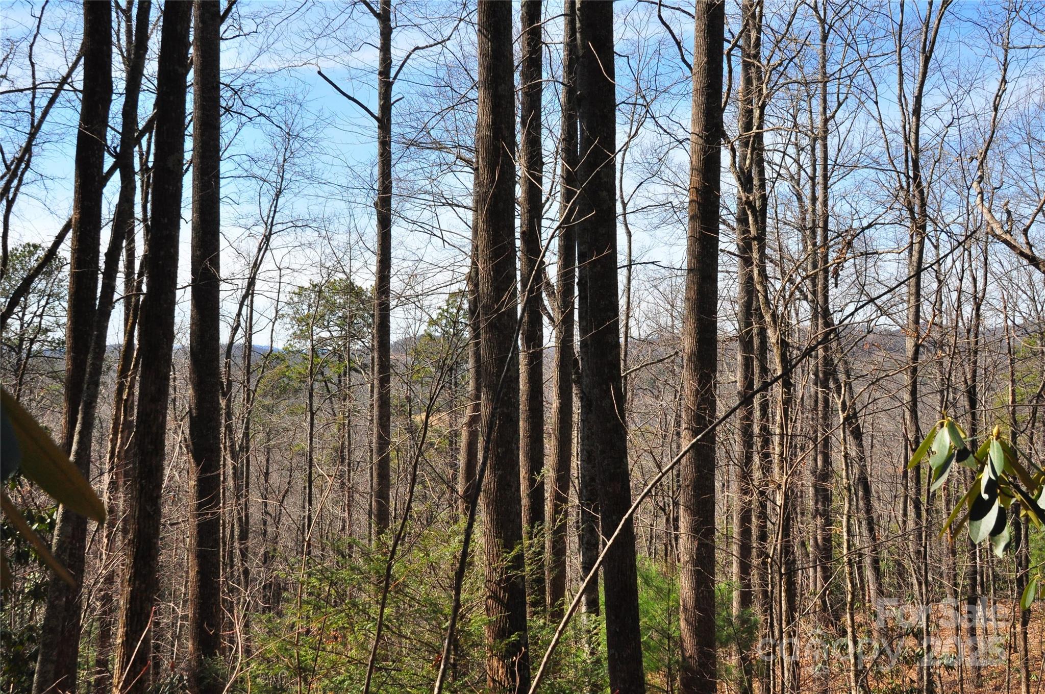 0 Stoneledge Road Hendersonville, NC 28792 - Photo 8 of 13 Gallery Image 8