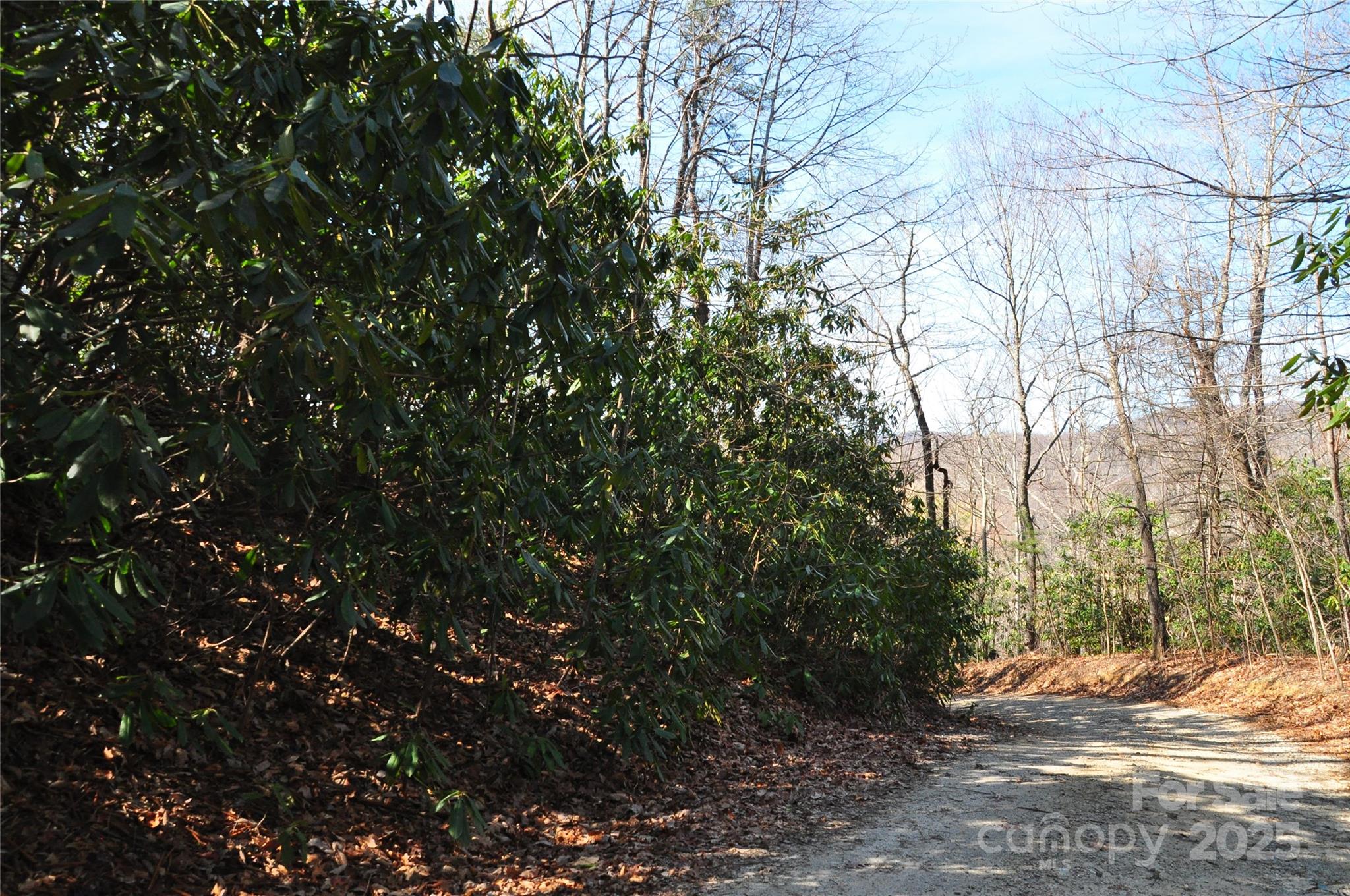 0 Stoneledge Road Hendersonville, NC 28792 - Photo 10 of 13 Gallery Image 10