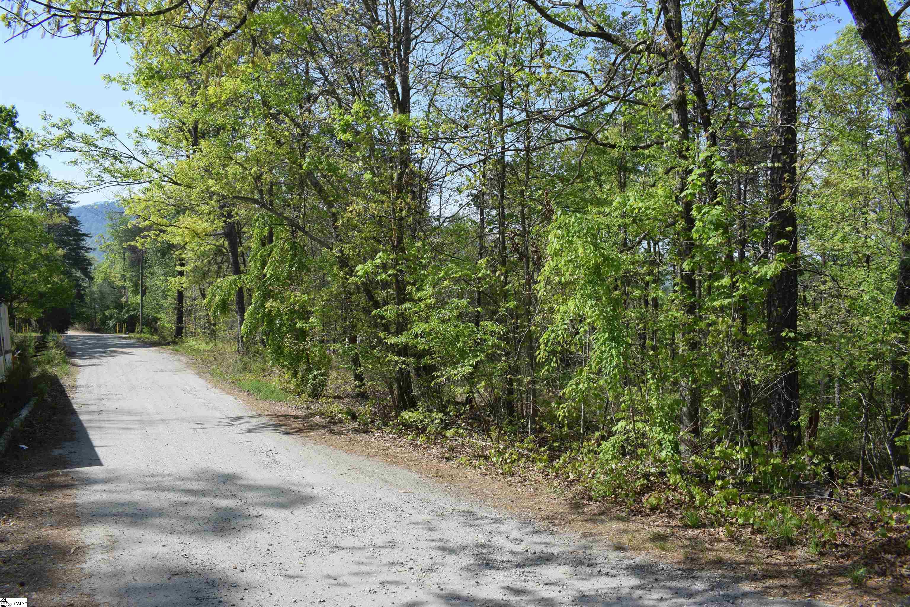 0 Winter Lane Mill Spring, NC 28756 - Photo 1 of 16 Gallery Image 1