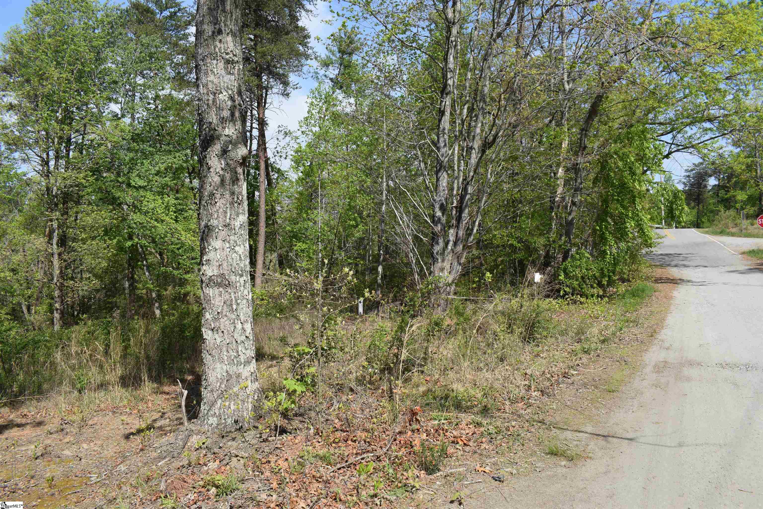 0 Winter Lane Mill Spring, NC 28756 - Photo 13 of 16 Gallery Image 13
