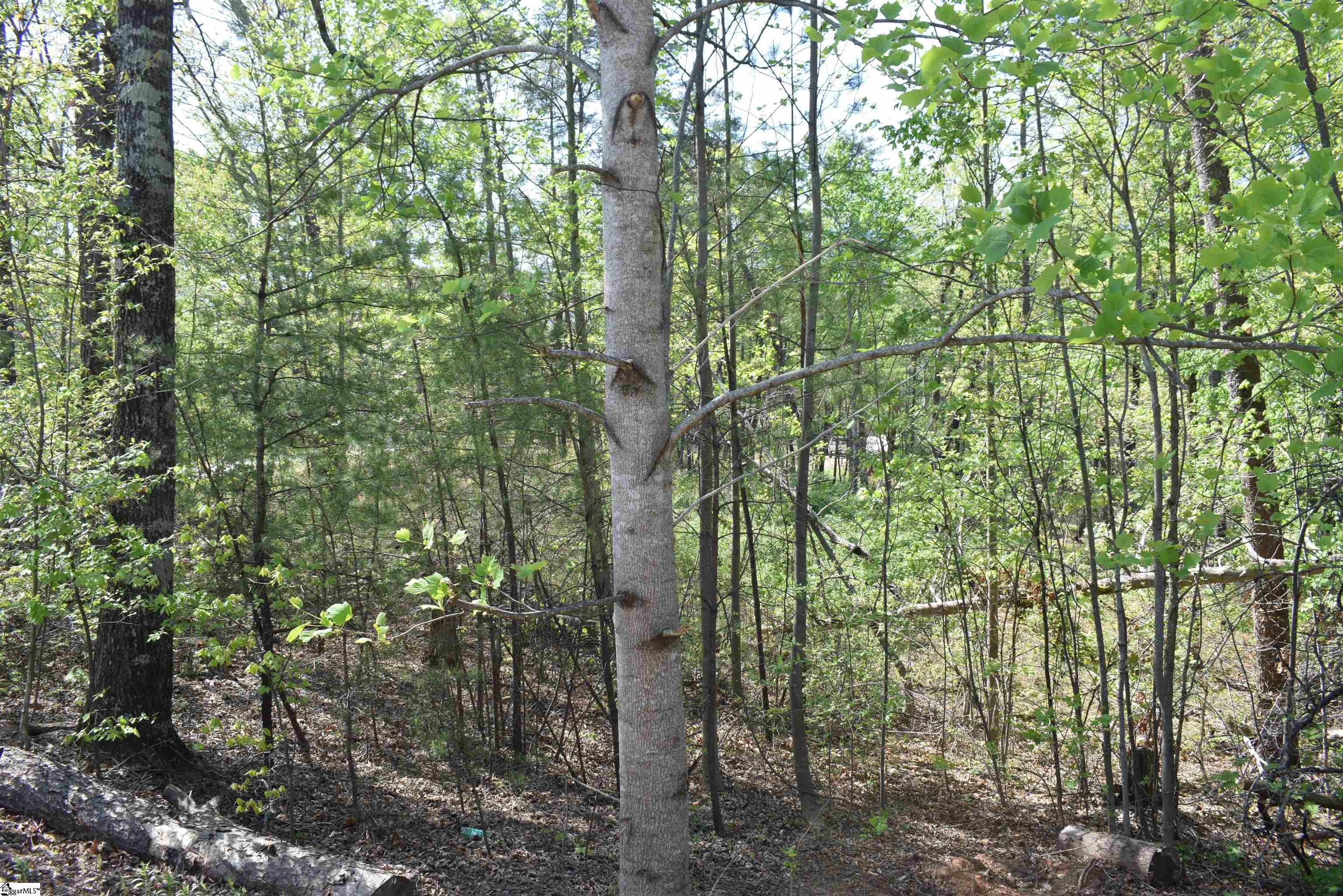 0 Winter Lane Mill Spring, NC 28756 - Photo 15 of 16 Gallery Image 15