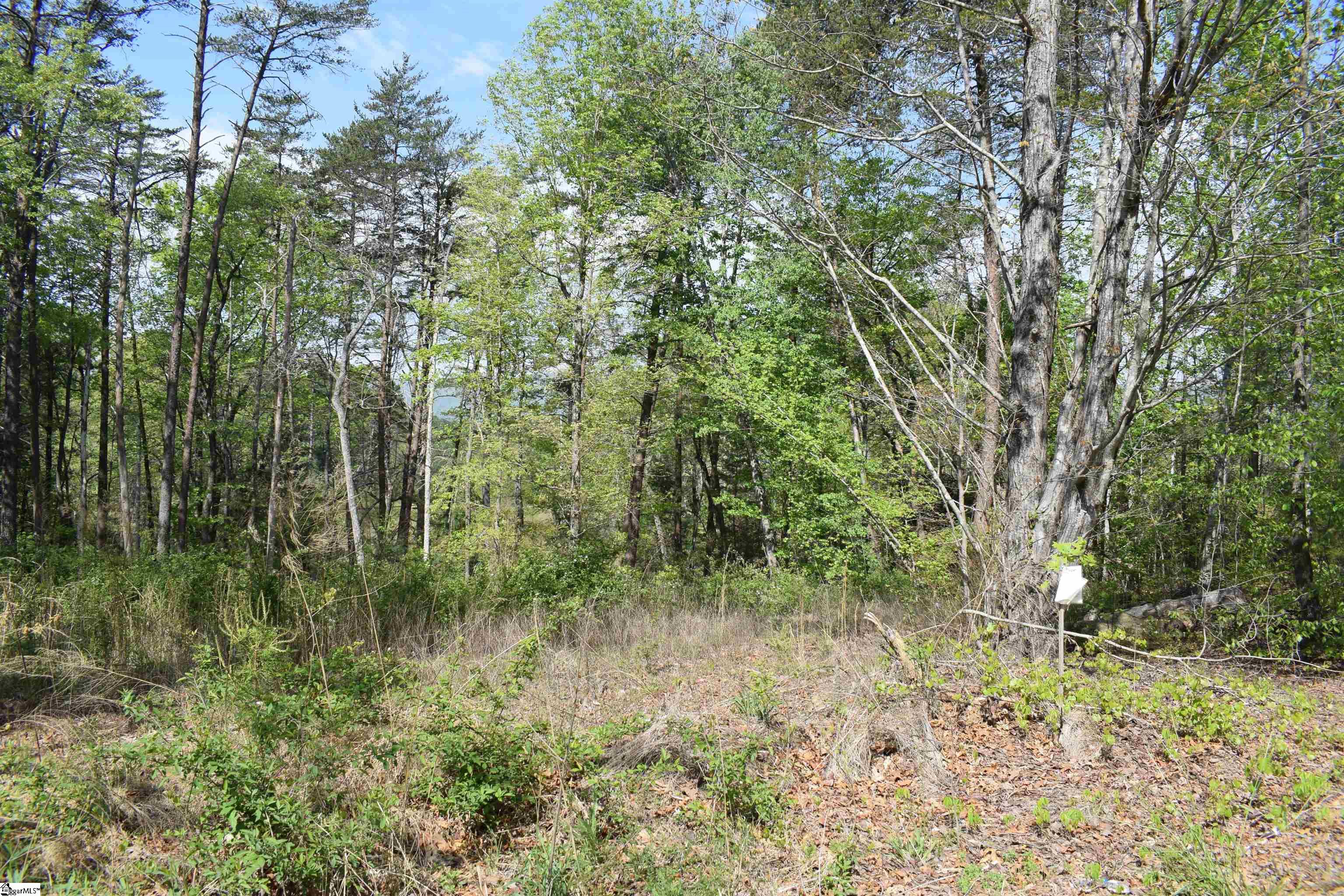 0 Winter Lane Mill Spring, NC 28756 - Photo 2 of 16 Gallery Image 2