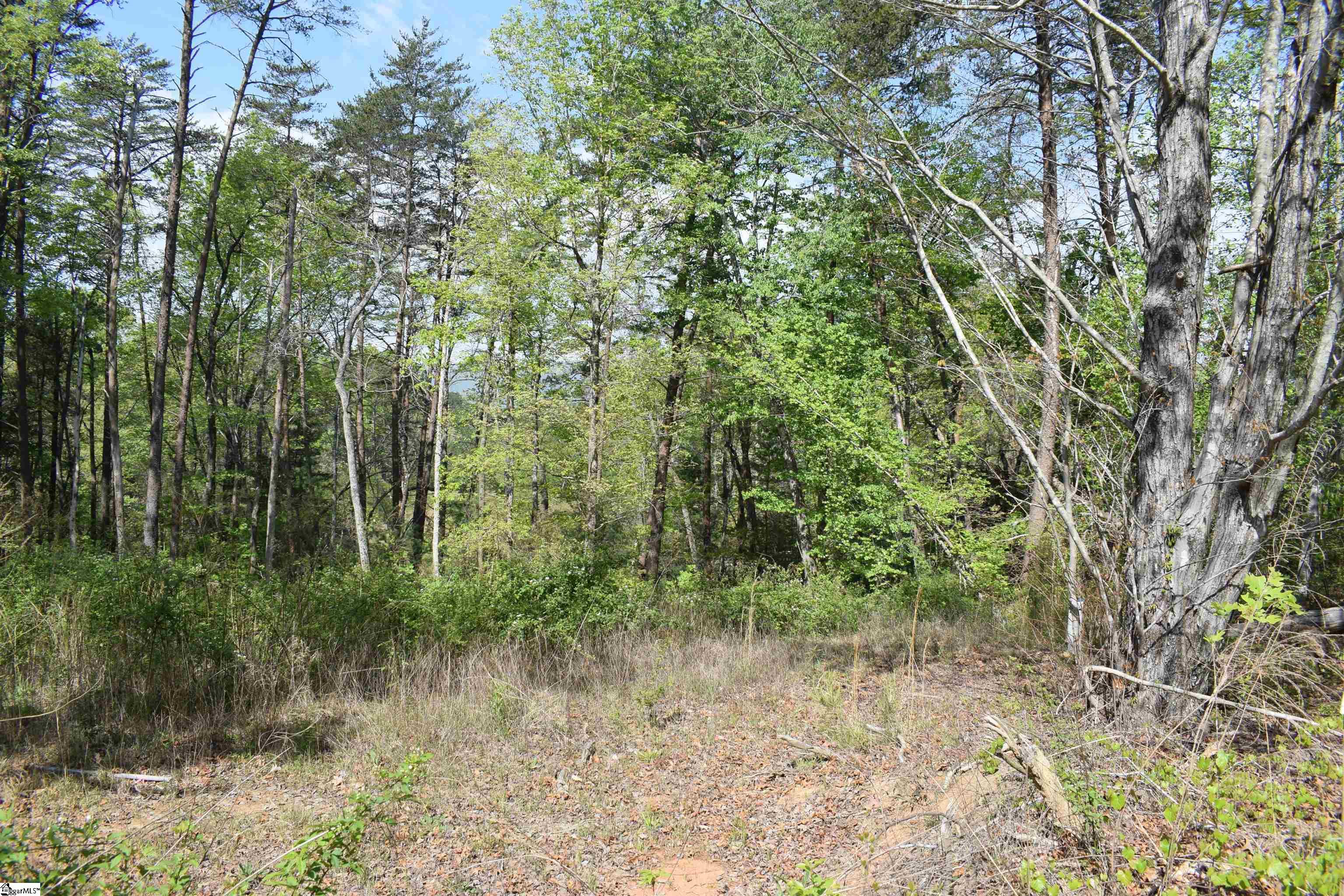 0 Winter Lane Mill Spring, NC 28756 - Photo 3 of 16 Gallery Image 3