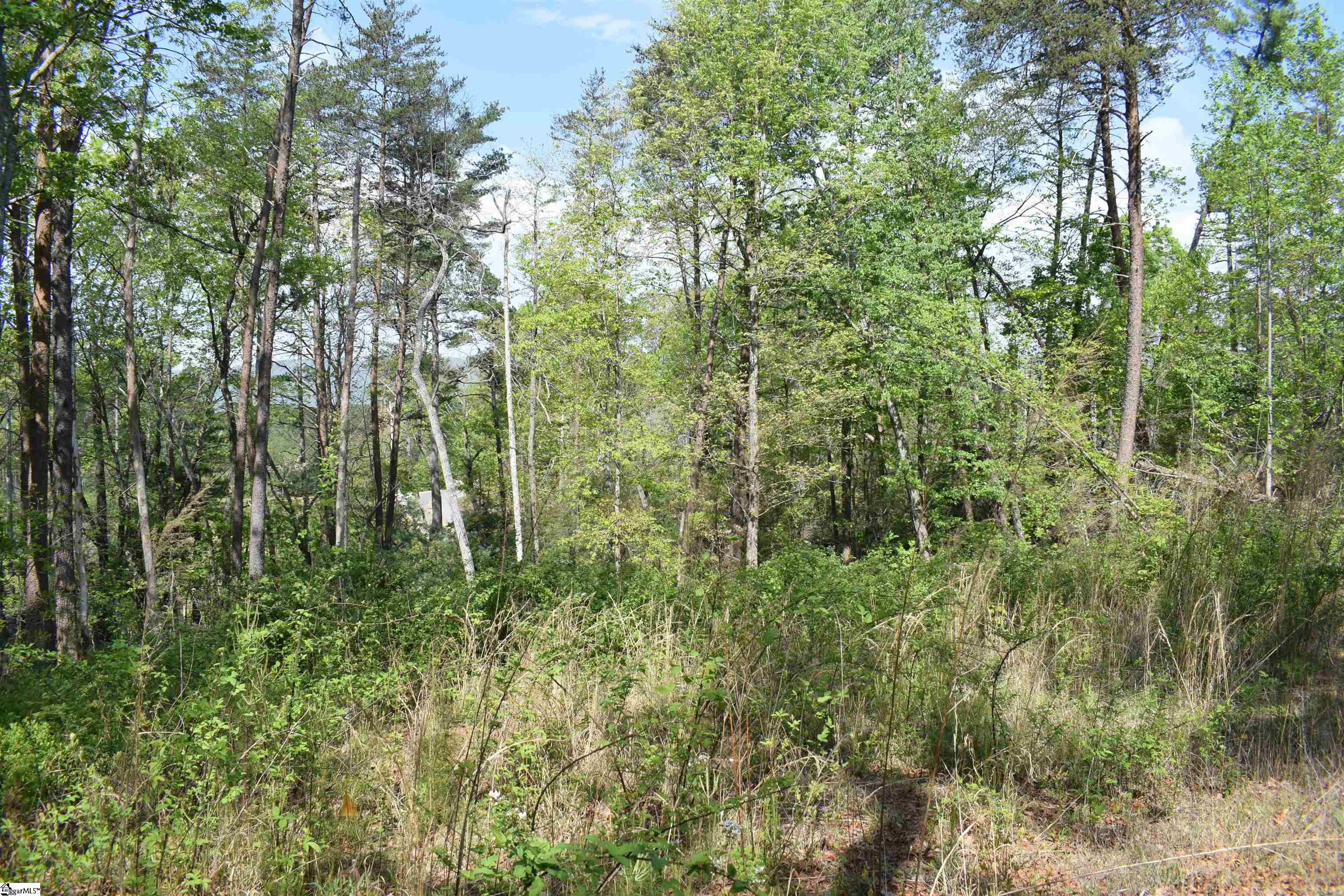 0 Winter Lane Mill Spring, NC 28756 - Photo 4 of 16 Gallery Image 4