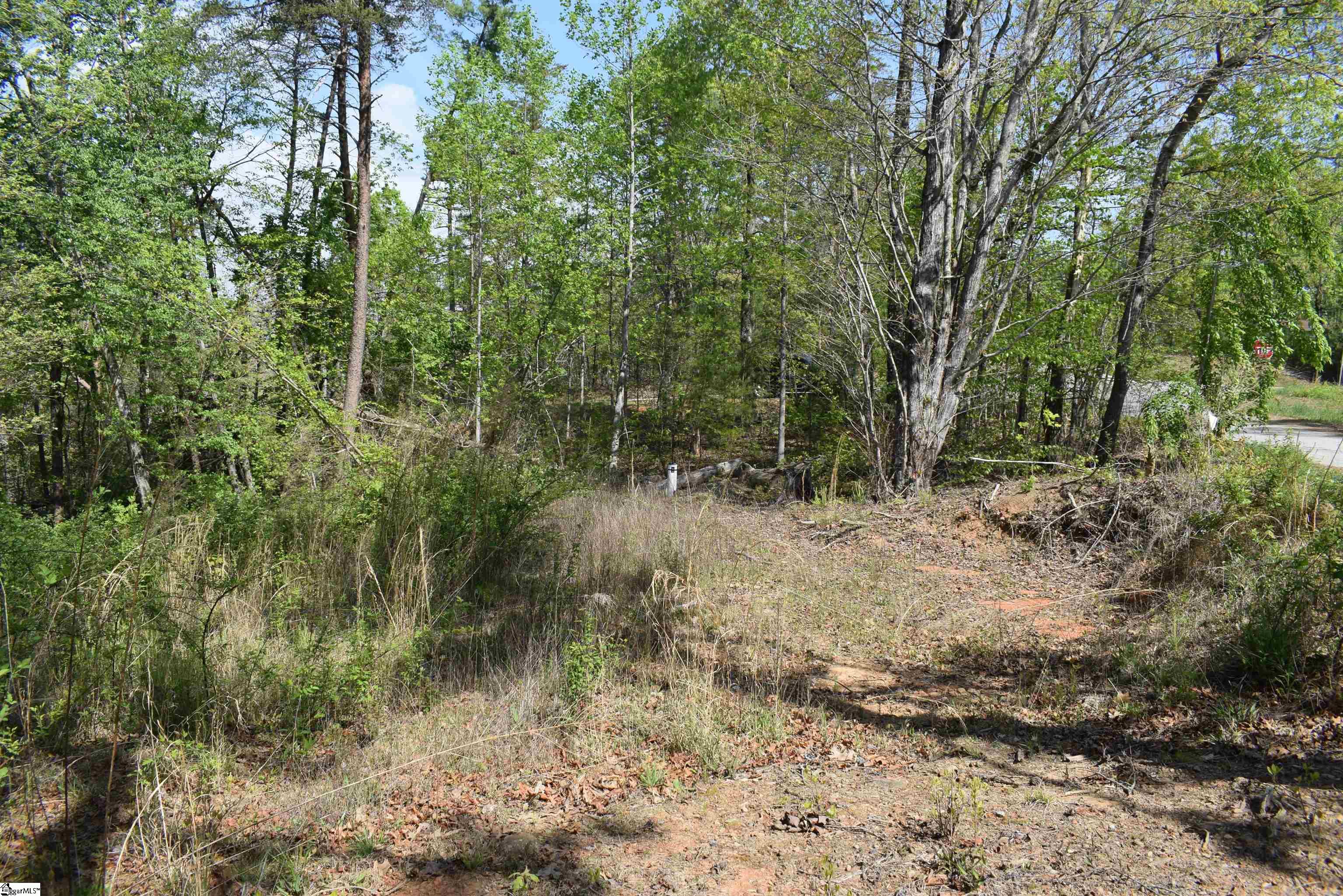 0 Winter Lane Mill Spring, NC 28756 - Photo 5 of 16 Gallery Image 5