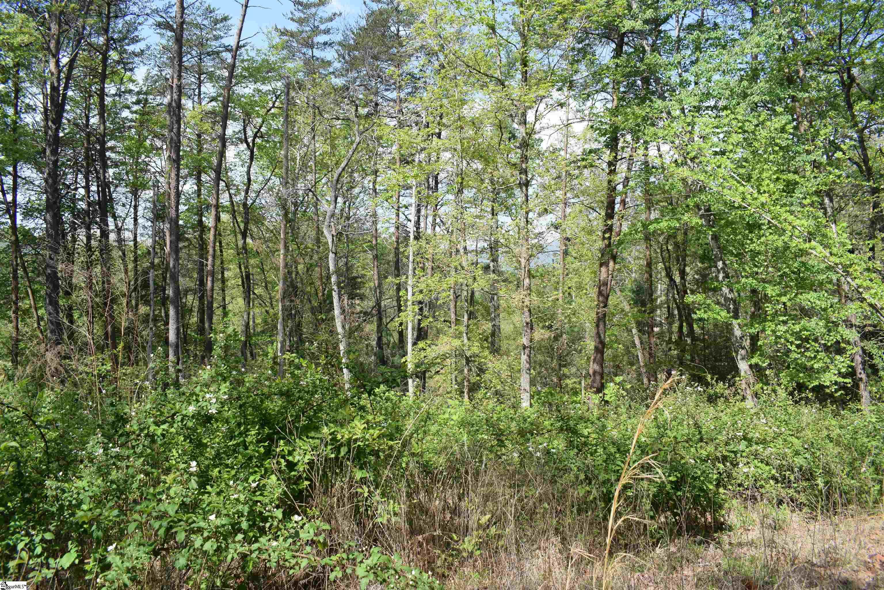 0 Winter Lane Mill Spring, NC 28756 - Photo 6 of 16 Gallery Image 6