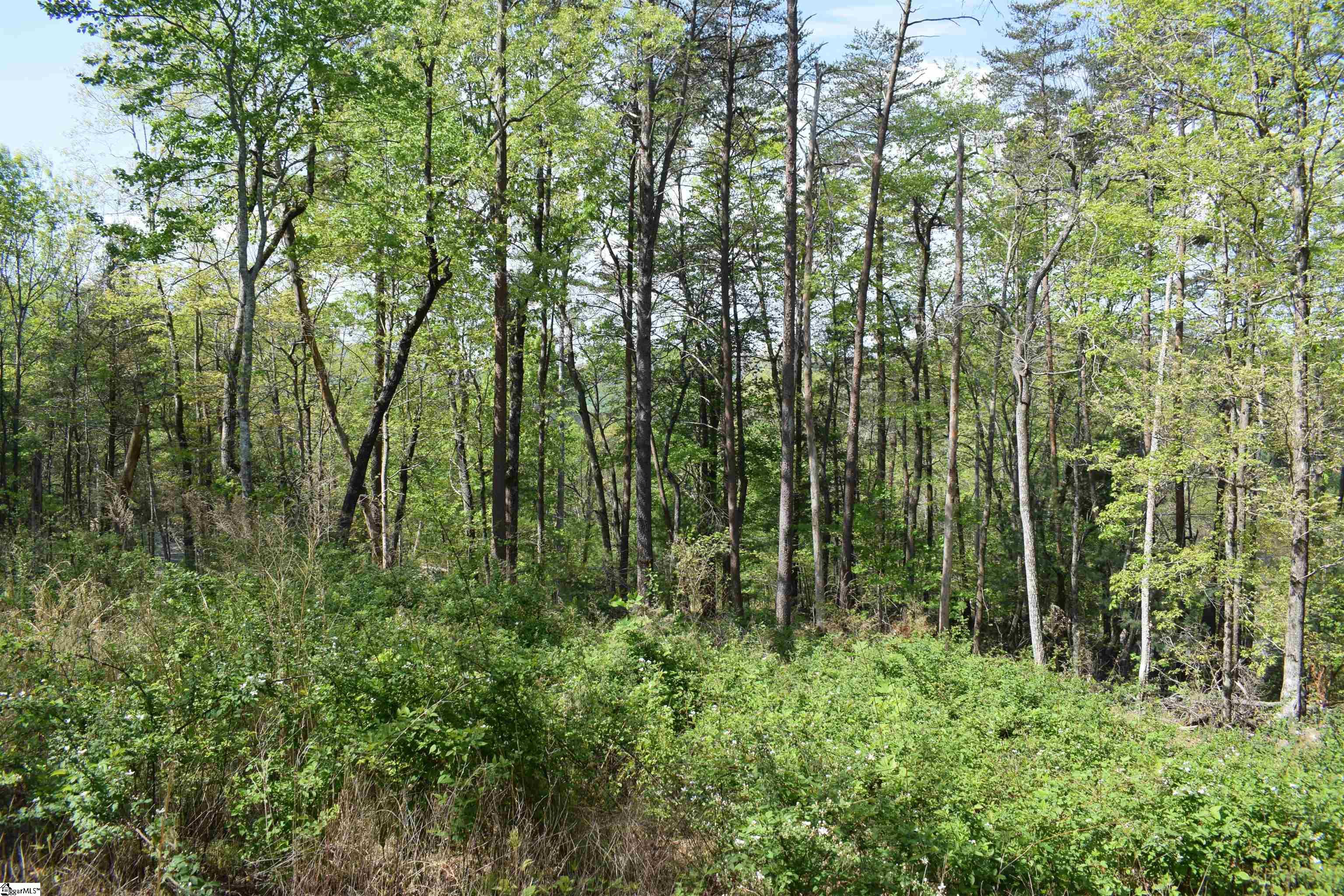 0 Winter Lane Mill Spring, NC 28756 - Photo 10 of 16 Gallery Image 10