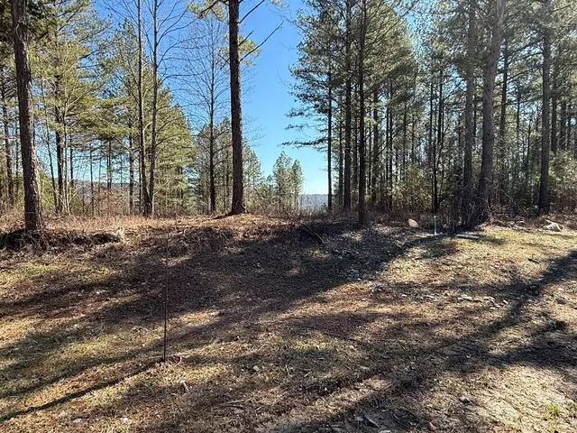 $400,000 | 1375 Split Rail Way, Guild, TN 37340