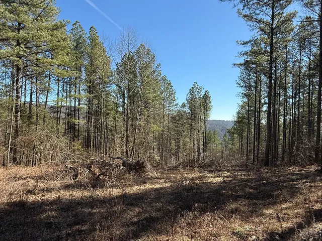 $400,000 | 1375 Split Rail Way, Guild, TN 37340