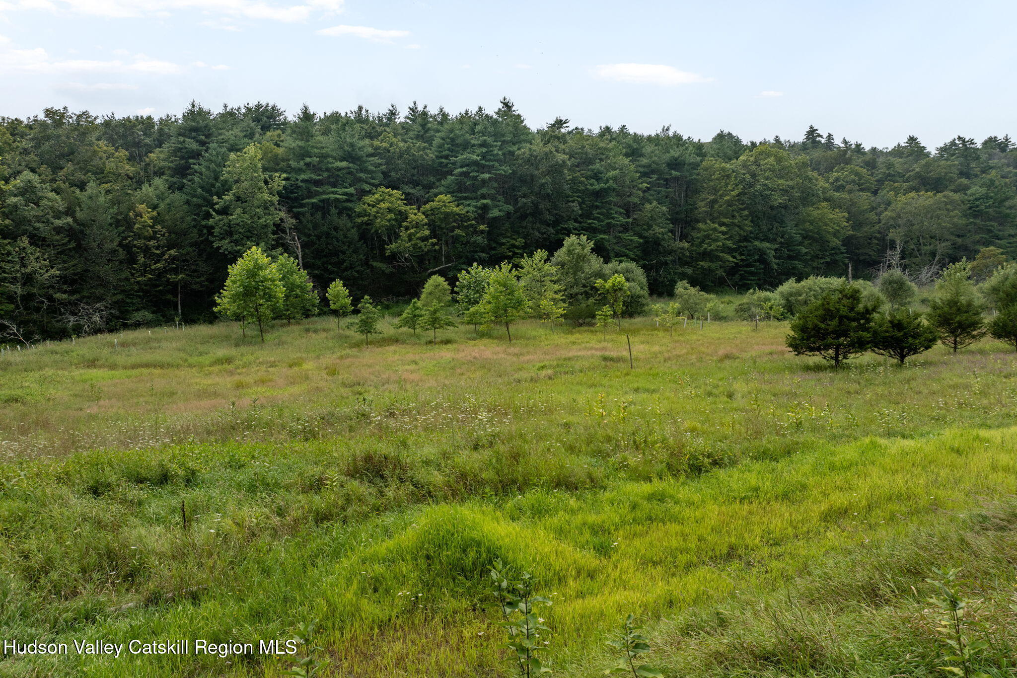 442 Lapla Road Kingston, NY 12401 - Photo 23 of 26 a view of a big yard with green space