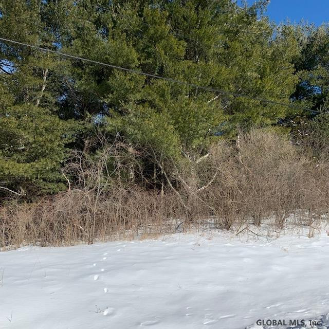 Pine Ridge Road Alcove, NY 12007 - Photo 4 of 5 Photo 4