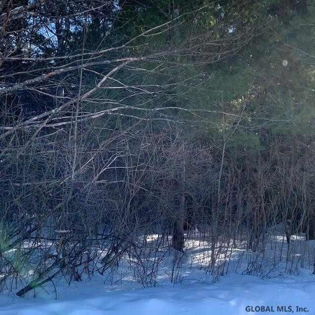 Pine Ridge Road Alcove, NY 12007 - Photo 5 of 5 Photo 5