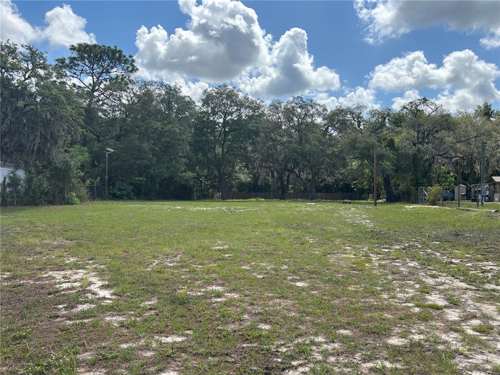 15546 Hicks Road Hudson, FL 34667 - Photo 6 of 8 a view of a garden