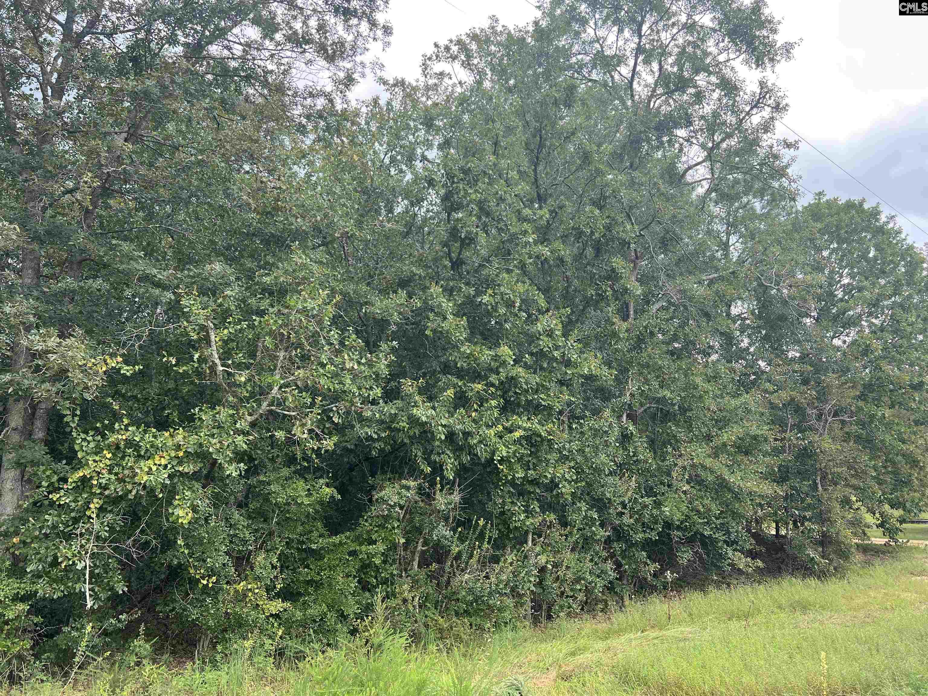 0 Cliff Road Pelion, SC 29123 - Photo 19 of 28