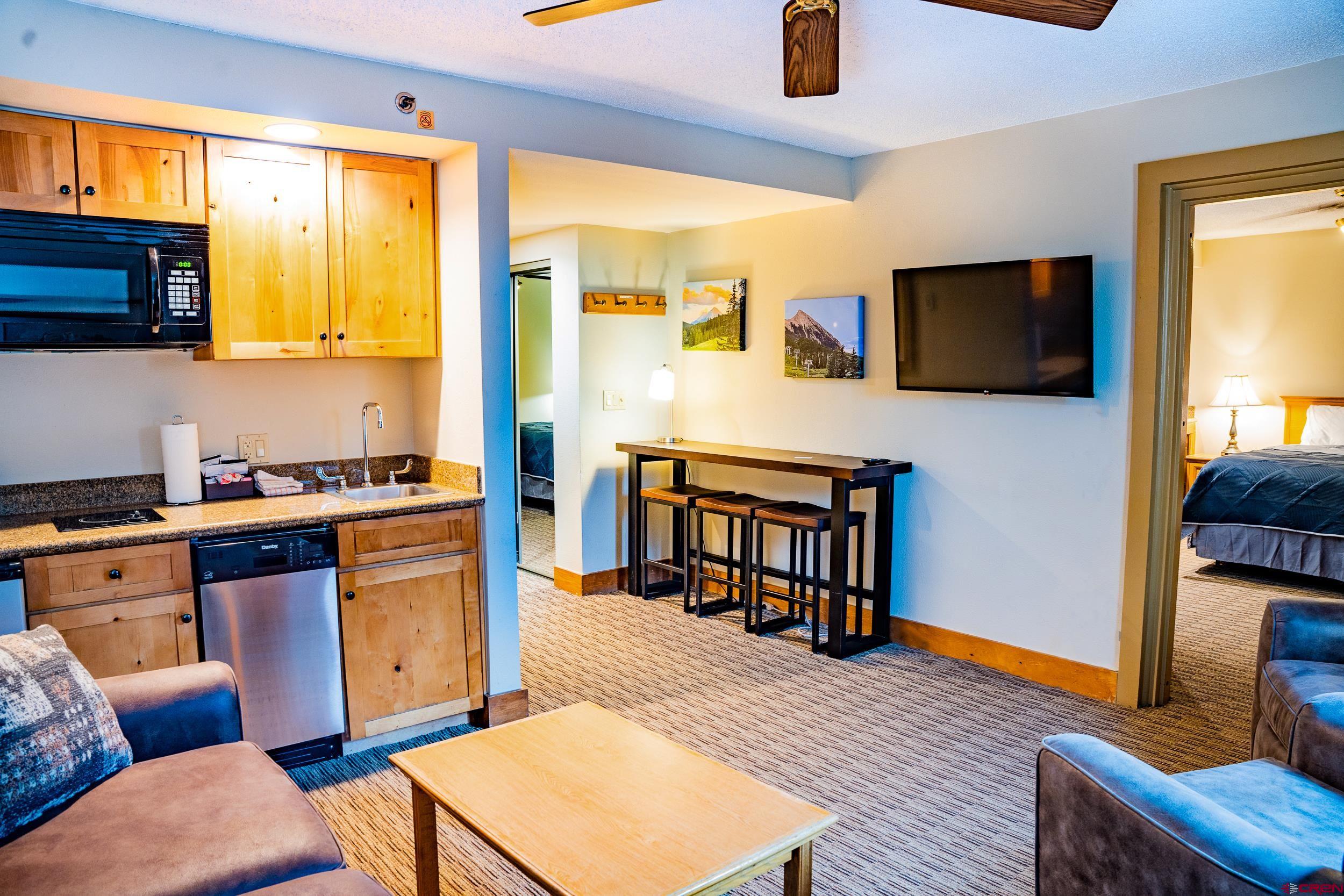 6 Emmons Road, Unit 259 Crested Butte, CO 81225 - Photo 5 of 20