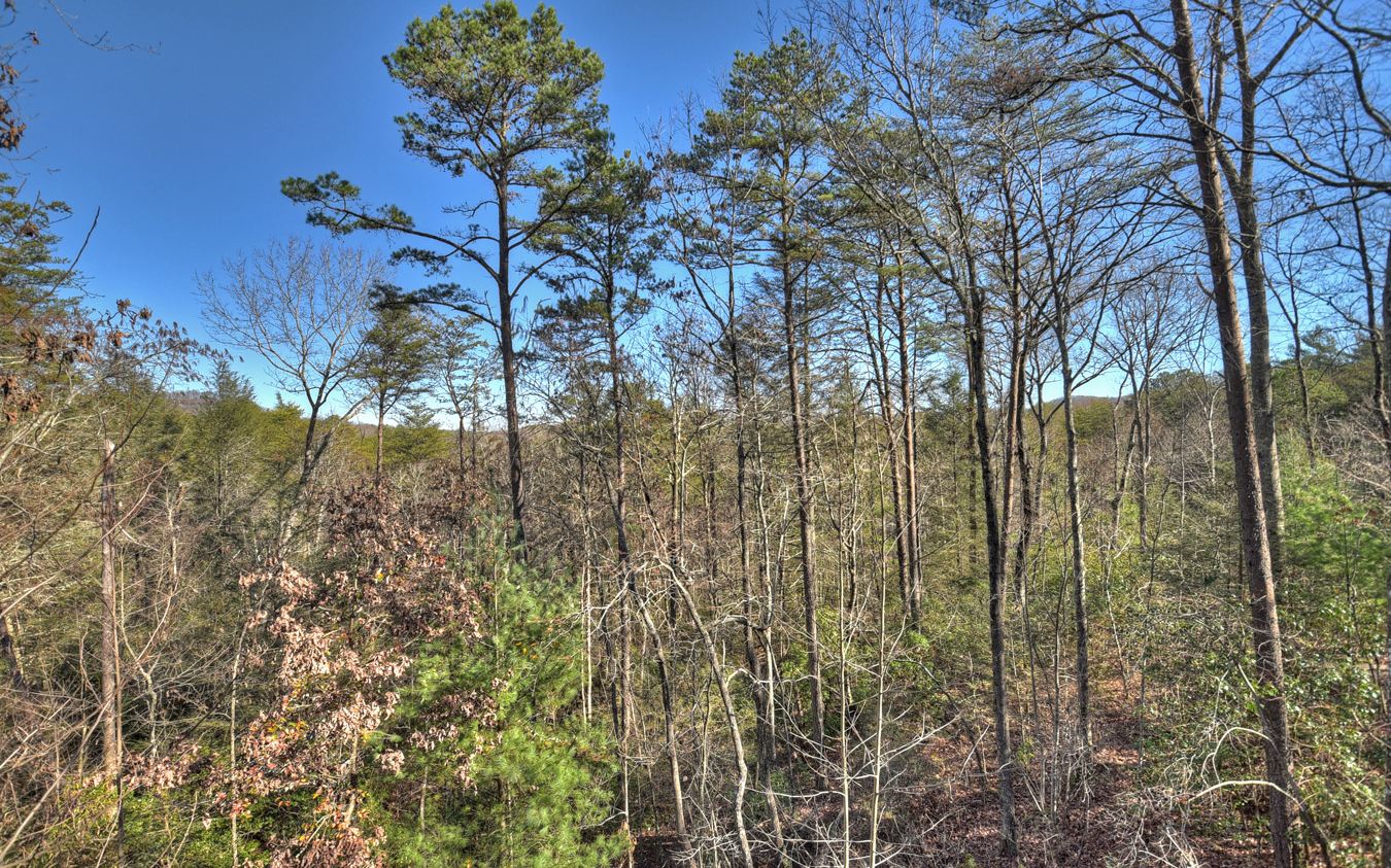 22 Amber Ridge Road Blue Ridge, GA 30513 - Photo 19 of 40 Additional View