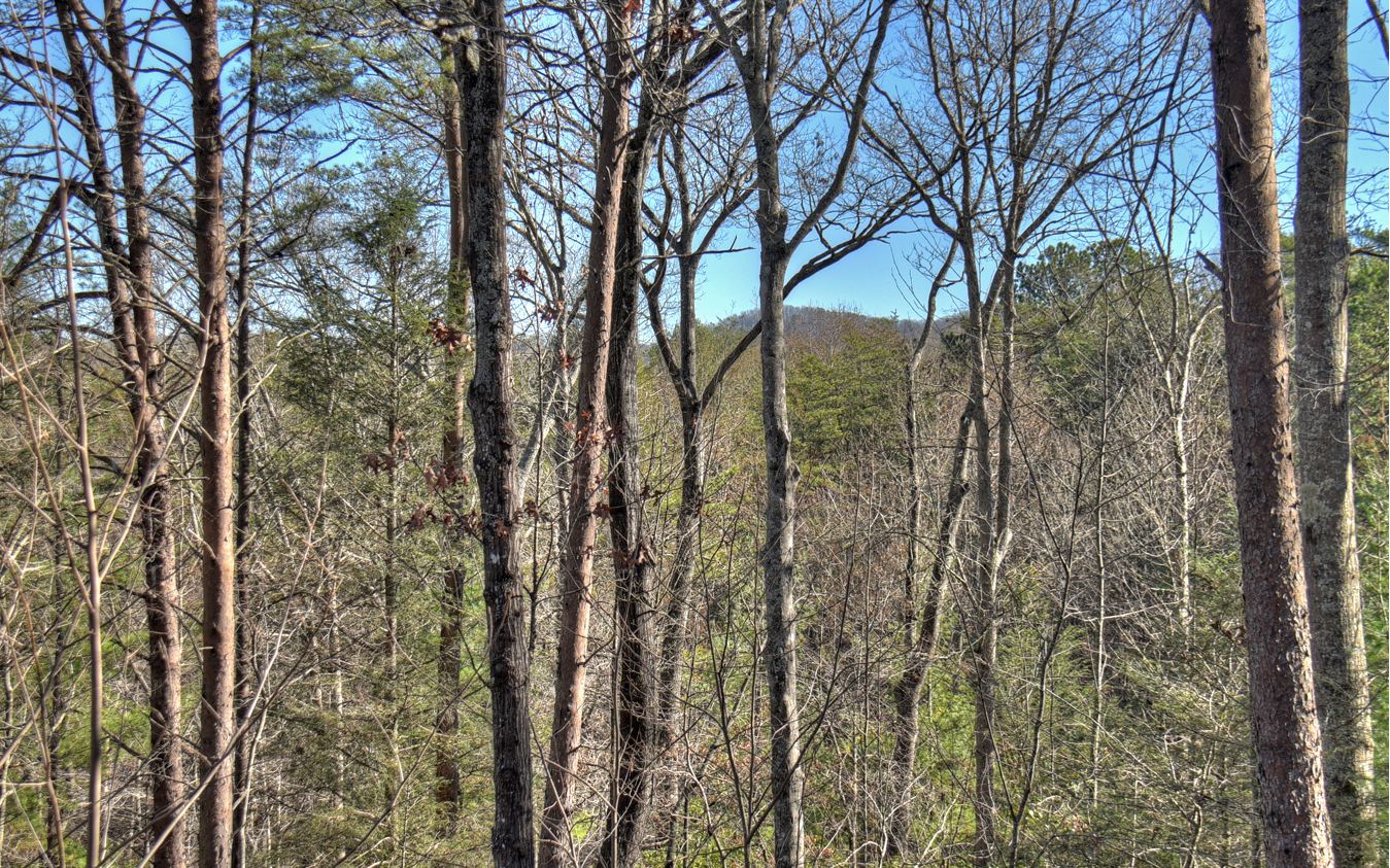22 Amber Ridge Road Blue Ridge, GA 30513 - Photo 20 of 40 Additional View