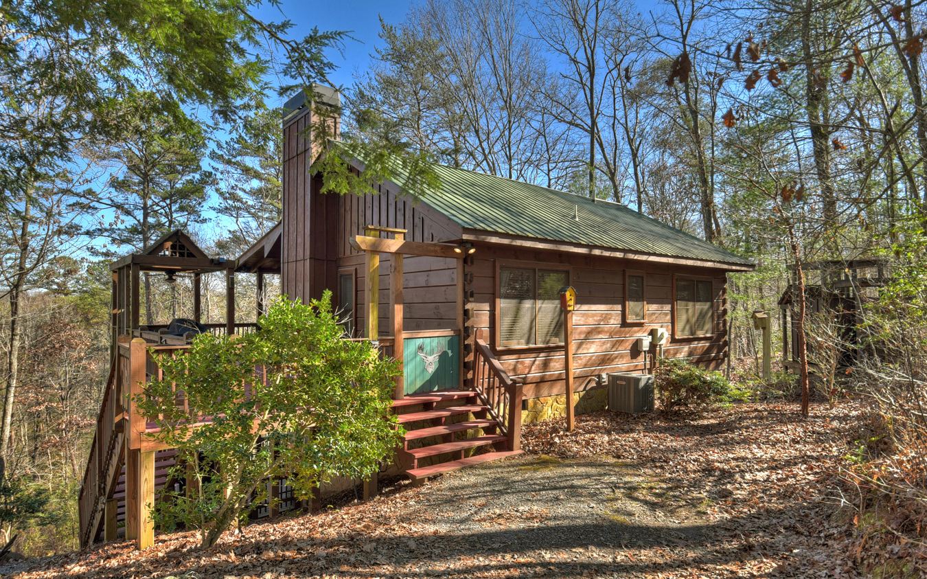 22 Amber Ridge Road Blue Ridge, GA 30513 - Photo 2 of 40 Additional View