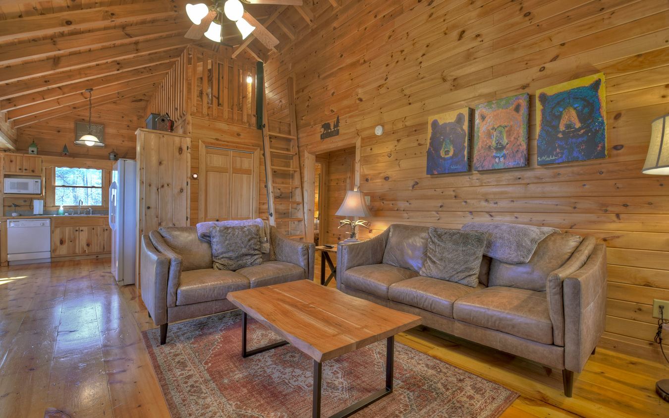 22 Amber Ridge Road Blue Ridge, GA 30513 - Photo 24 of 40 Additional View