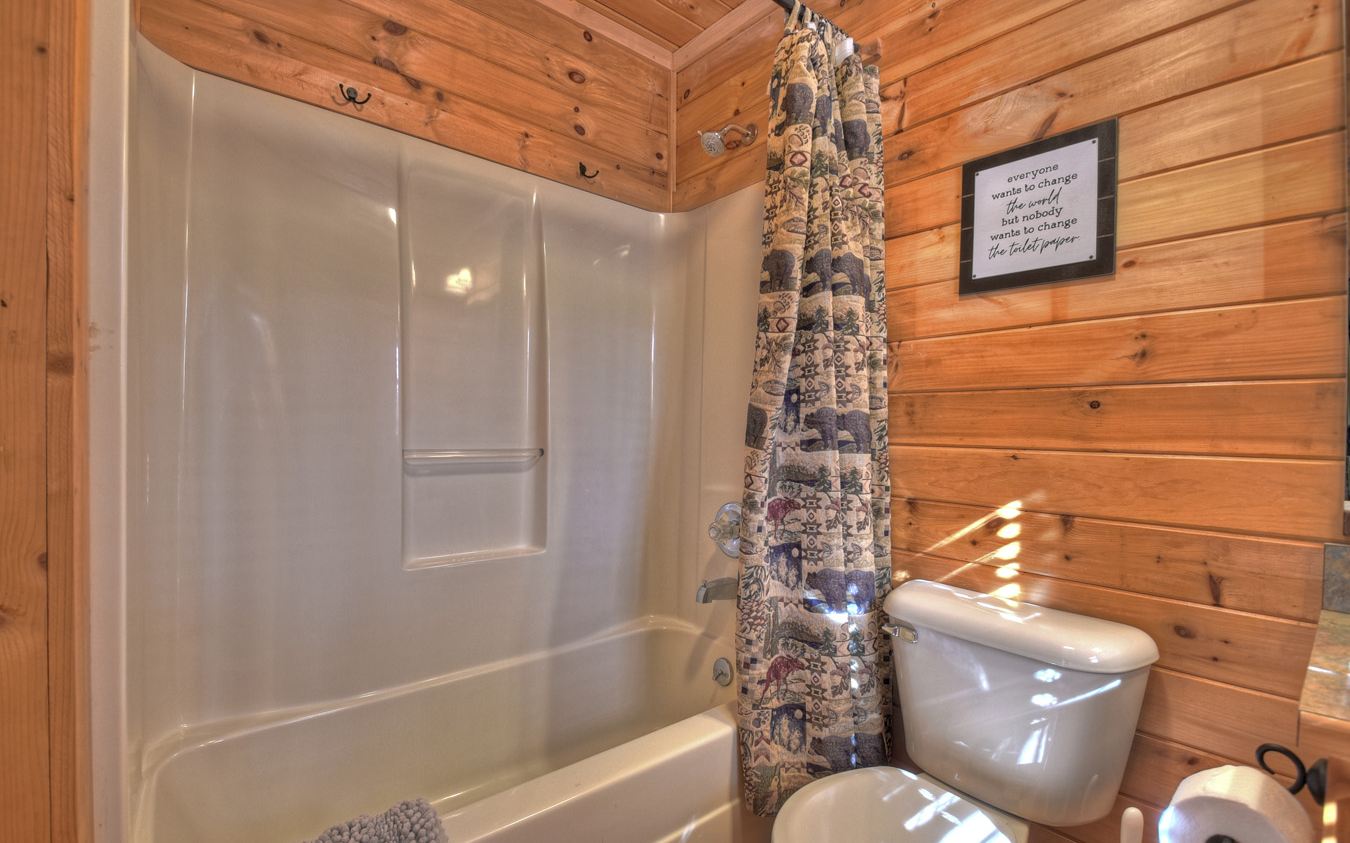 22 Amber Ridge Road Blue Ridge, GA 30513 - Photo 33 of 40 Additional View