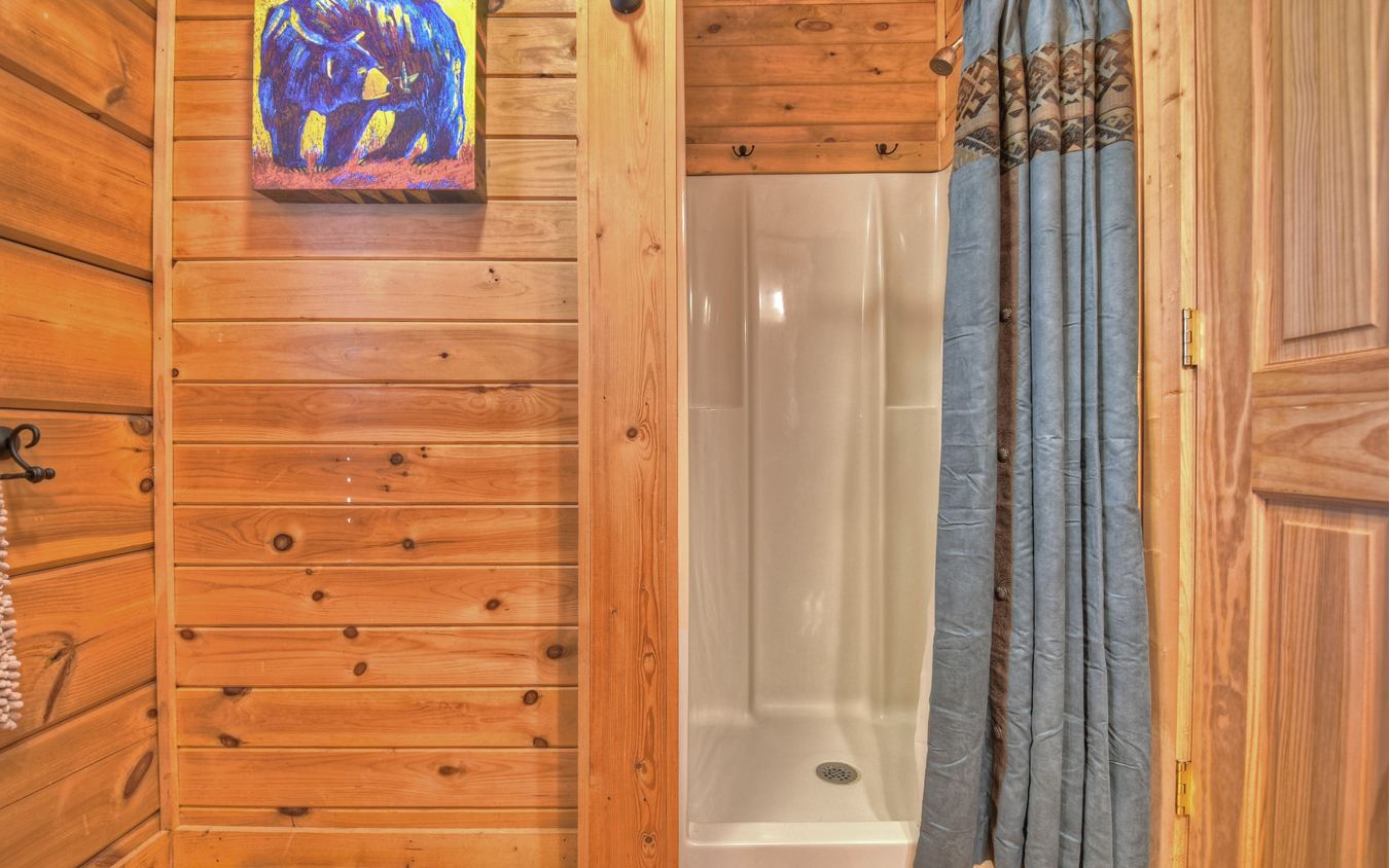 22 Amber Ridge Road Blue Ridge, GA 30513 - Photo 37 of 40 Additional View