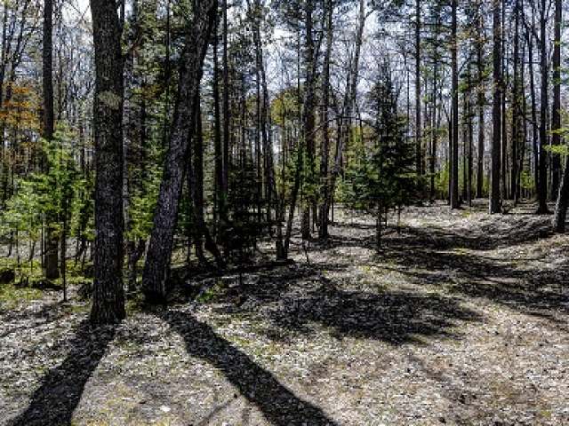 1220 Shields Road St. Germain, WI 54558 - Photo 14 of 15 Gallery Image 14
