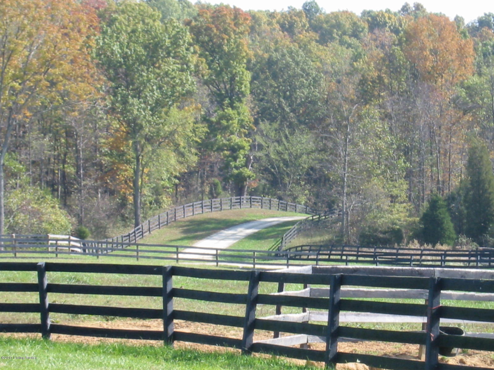 998 Webb Town Road Pendleton, KY 40055 - Photo 3 of 19 Driving into the property lined by trees and complete privacy. Neighbors? You would never know...