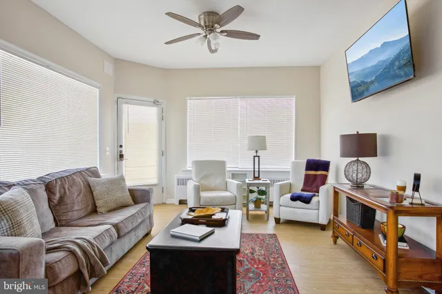 a living room with furniture and a rug