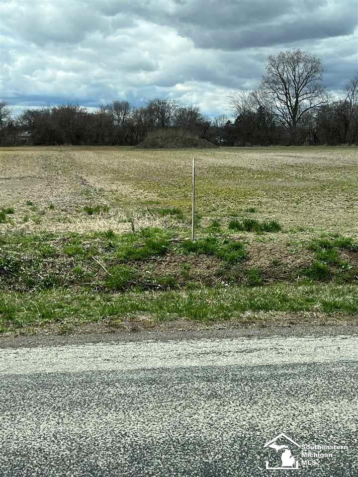 Trombley Road Newport, MI 48166 - Photo 3 of 4 Gallery Image 3