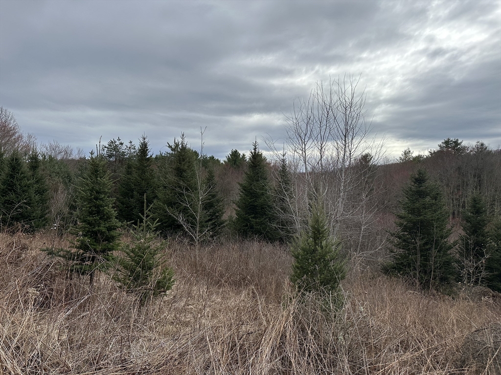 81 Town Farm Road Brookfield, MA 01506 - Photo 3 of 7 Gallery Image 3