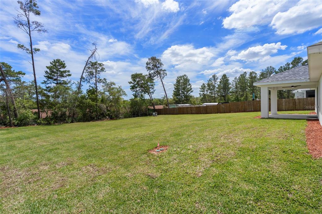 10128 Noddy Tern Road Weeki Wachee, FL 34613 - Photo 45 of 55