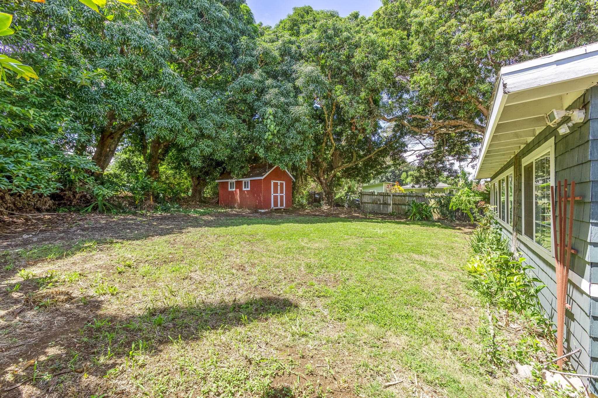 815 Kuulei Street Haiku, HI 96708 - Photo 25 of 25 a view of backyard with large trees and plants