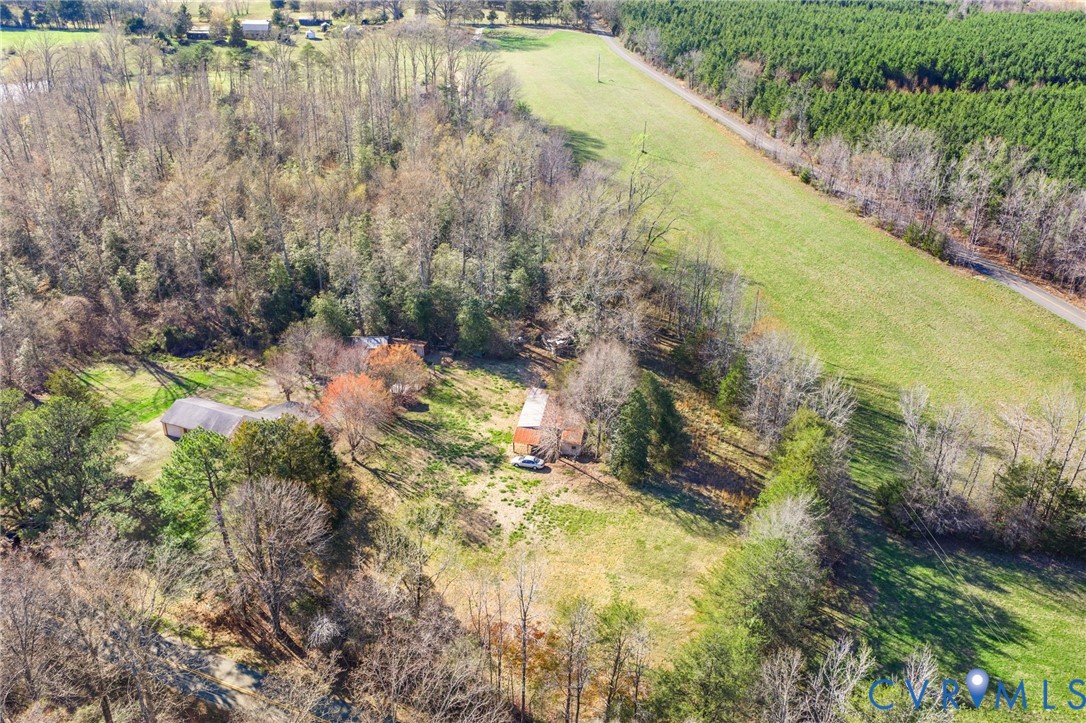 19161 Hollowing Creek Road Beaverdam, VA 23015 - Photo 9 of 27 a view of a yard with plants and large trees