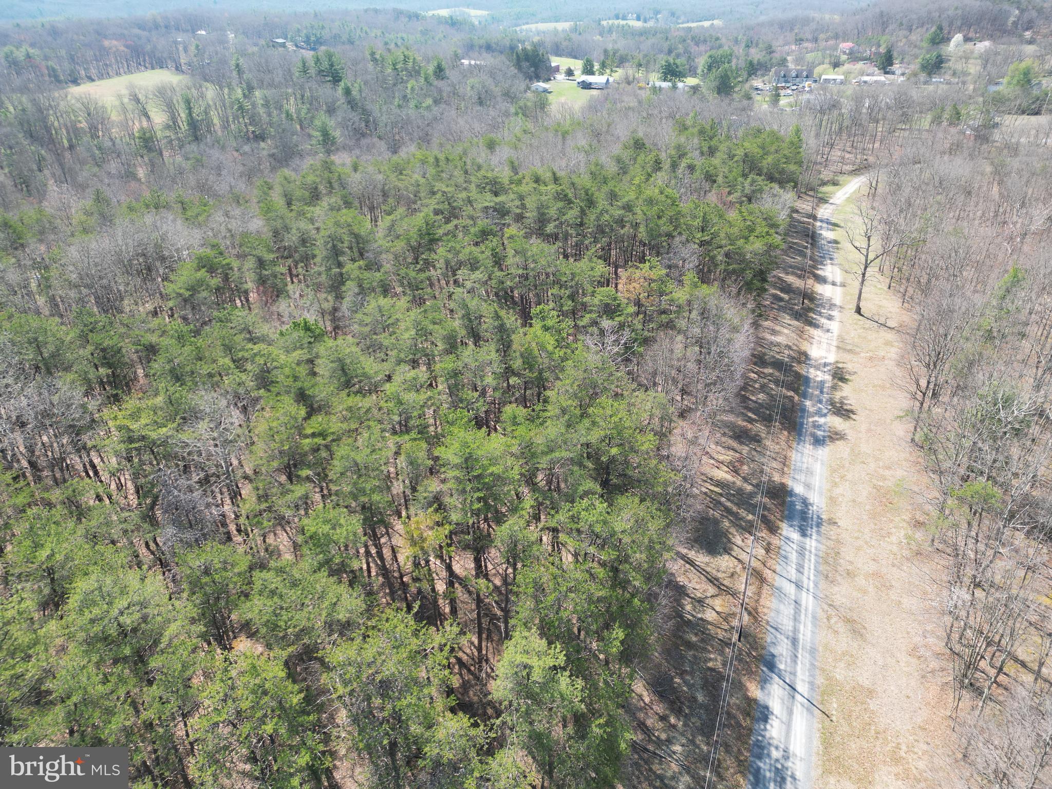 Martin Lane Berkeley Springs, WV 25411 - Photo 11 of 29 a view of a forest with trees and houses