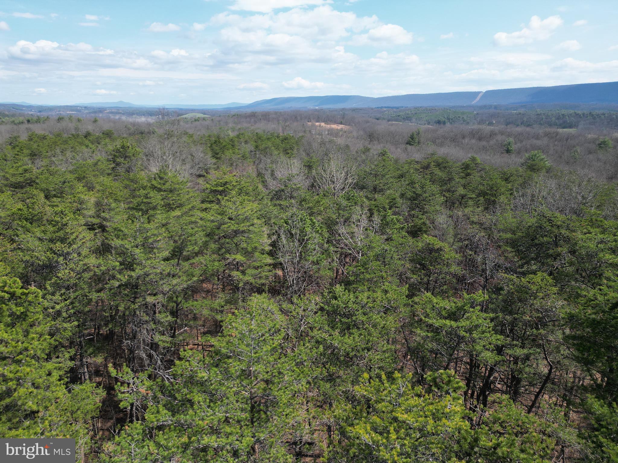 Martin Lane Berkeley Springs, WV 25411 - Photo 12 of 29 a view of a green field with lots of trees