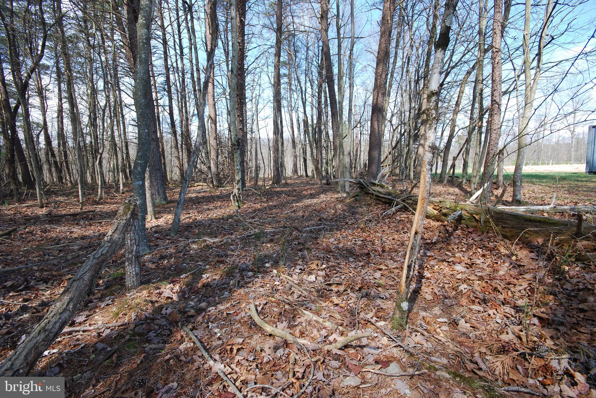 Martin Lane Berkeley Springs, WV 25411 - Photo 14 of 29 a backyard of a house with lots of green space