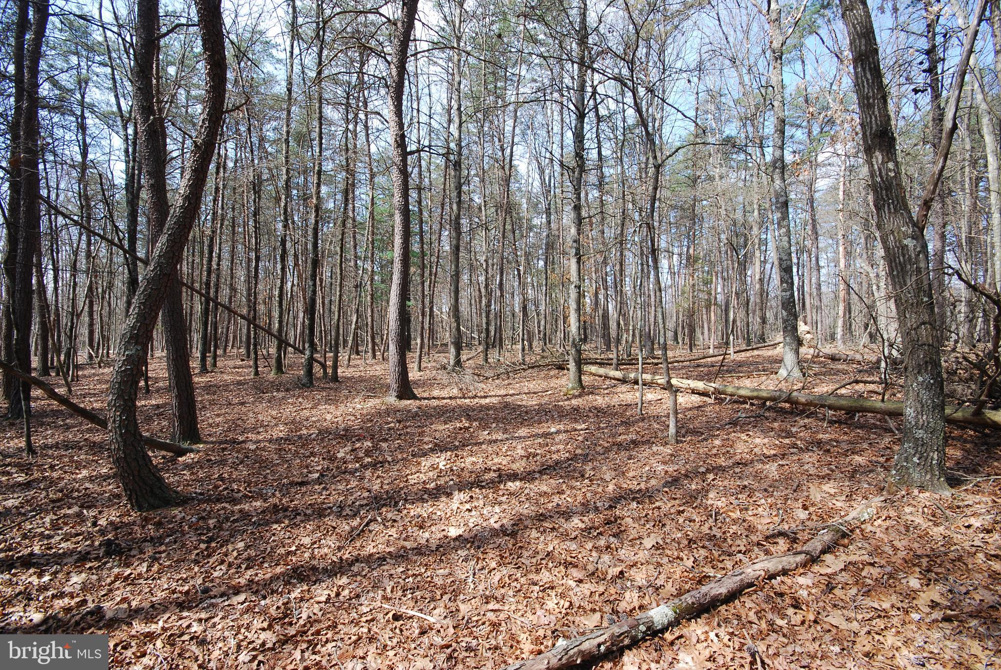 Martin Lane Berkeley Springs, WV 25411 - Photo 17 of 29 a backyard of a house with lots of green space