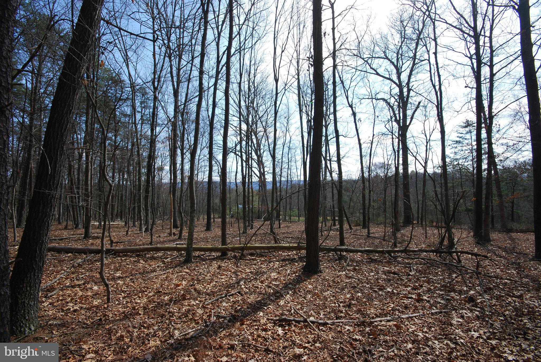 Martin Lane Berkeley Springs, WV 25411 - Photo 18 of 29 a view of a backyard