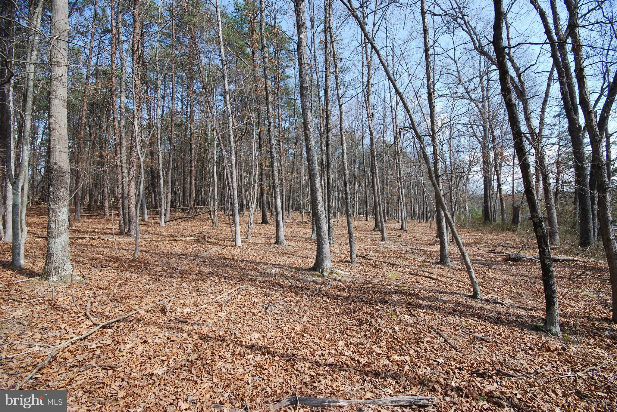 Martin Lane Berkeley Springs, WV 25411 - Photo 19 of 29 a backyard of a house with lots of green space