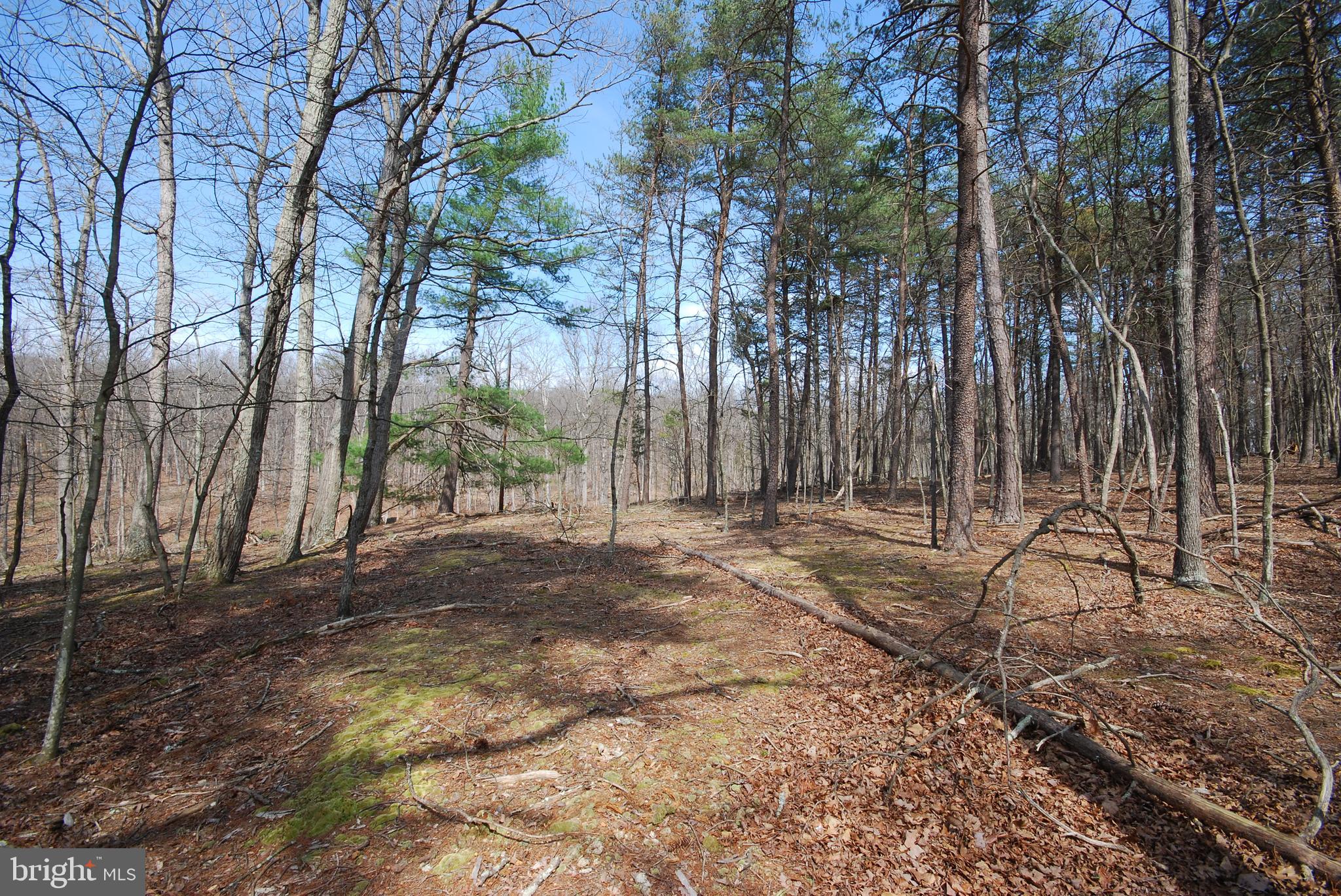 Martin Lane Berkeley Springs, WV 25411 - Photo 20 of 29 a backyard of a house with lots of green space