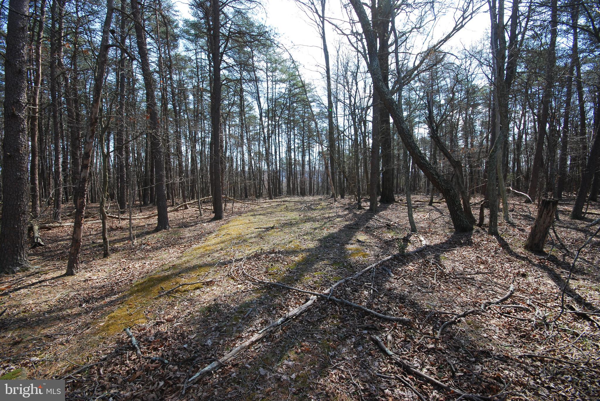 Martin Lane Berkeley Springs, WV 25411 - Photo 2 of 29 a view of outdoor space with trees