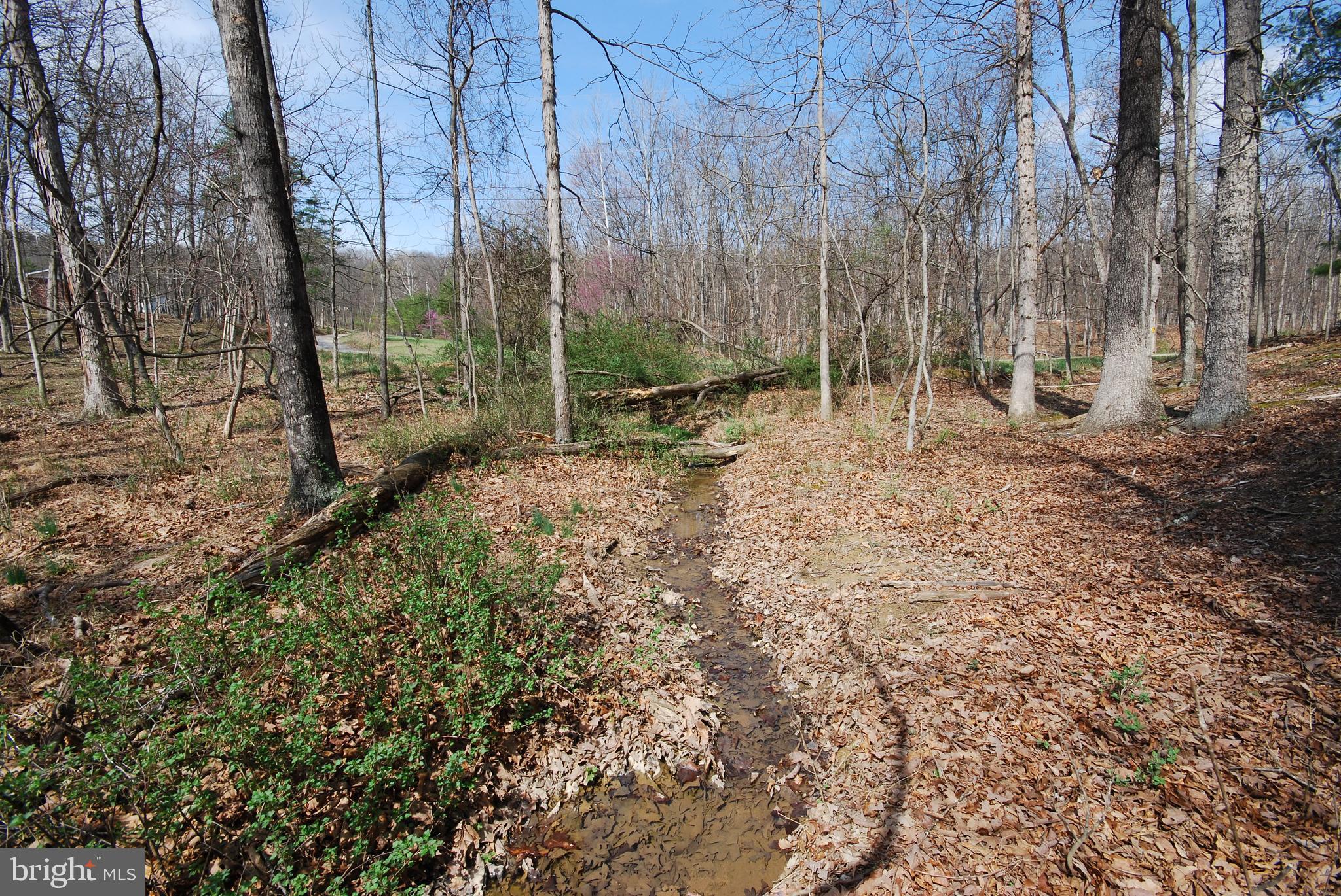 Martin Lane Berkeley Springs, WV 25411 - Photo 21 of 29 a view of a backyard