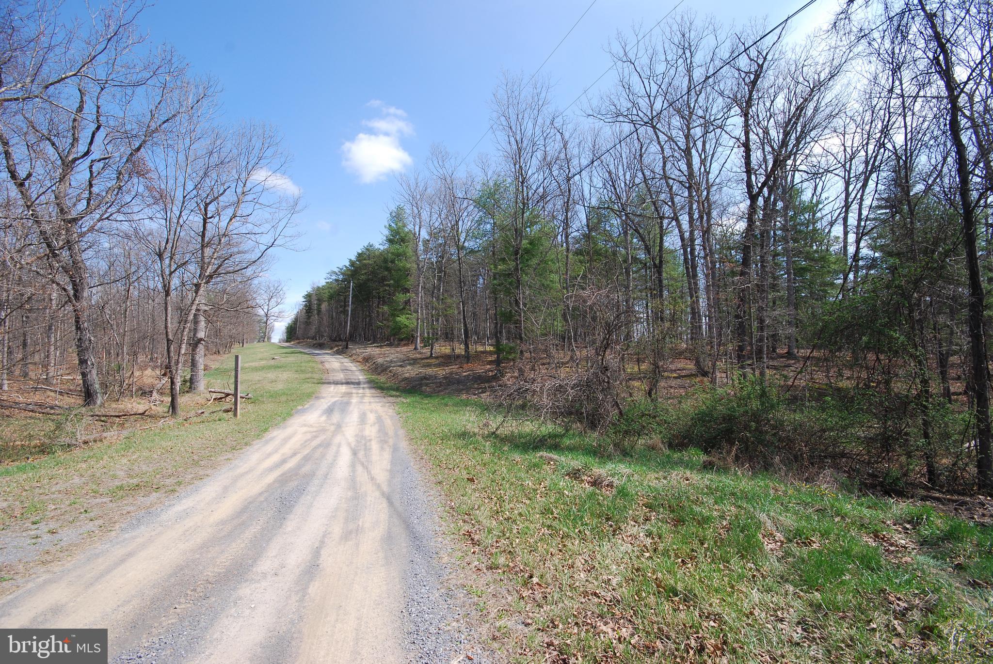 Martin Lane Berkeley Springs, WV 25411 - Photo 23 of 29 a view of backyard with green space