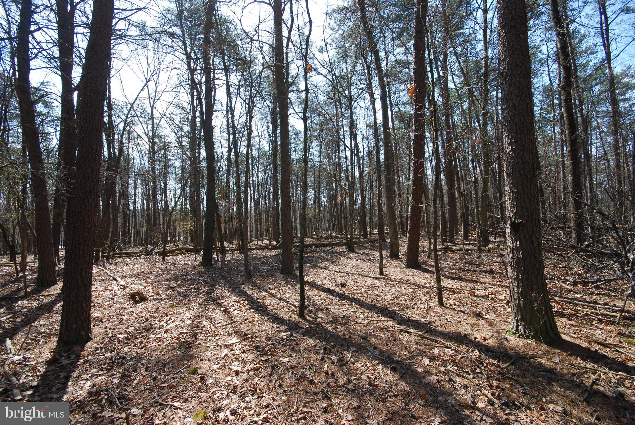 Martin Lane Berkeley Springs, WV 25411 - Photo 26 of 29 a backyard of a house with lots of green space