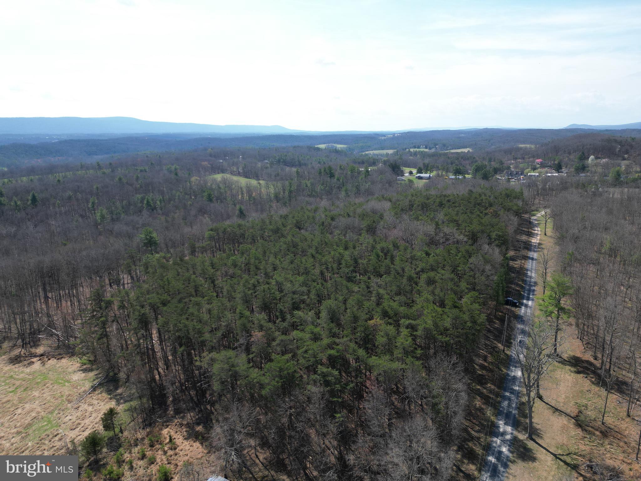 Martin Lane Berkeley Springs, WV 25411 - Photo 7 of 29 a view of a city with lush green forest
