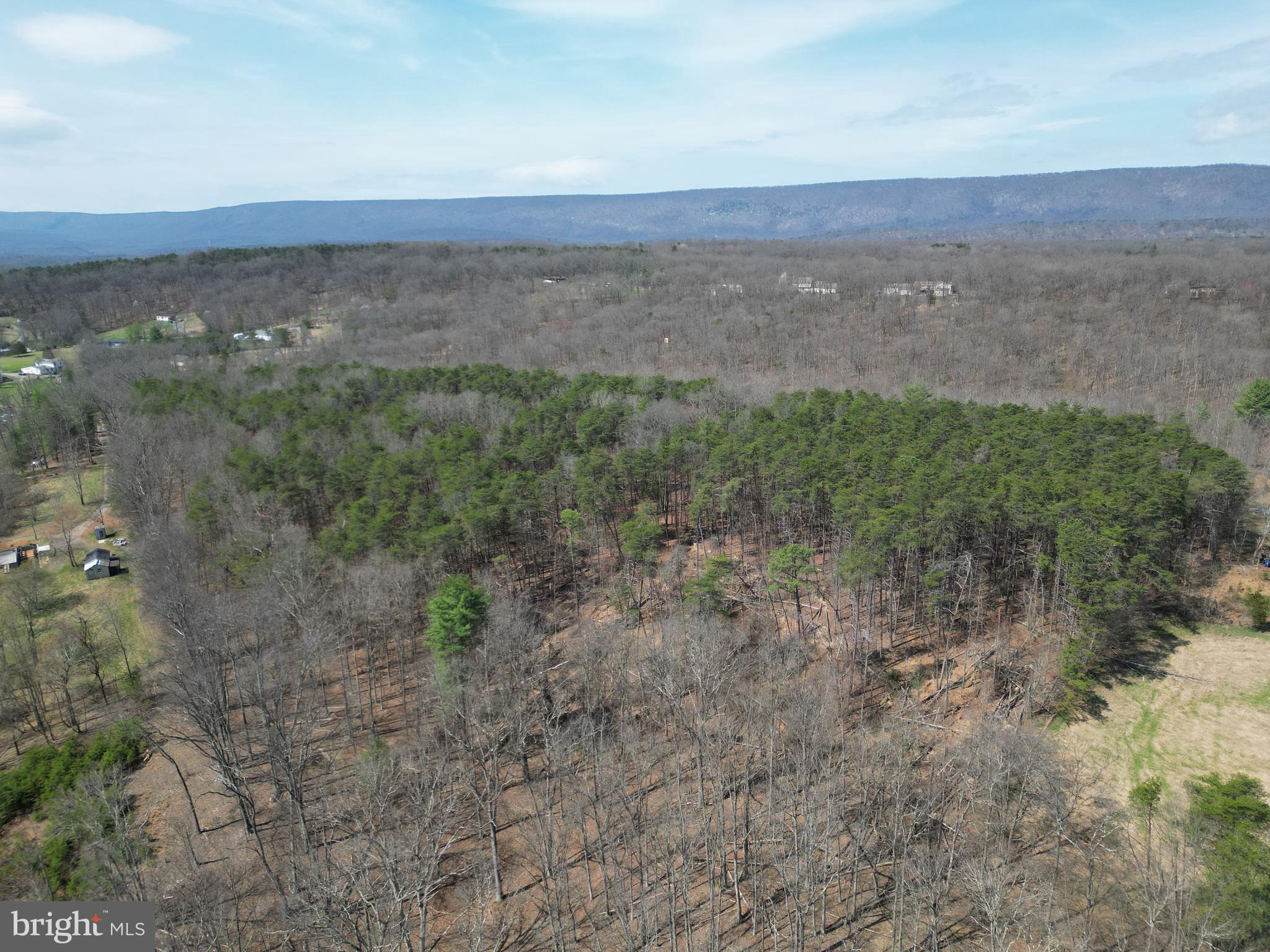 Martin Lane Berkeley Springs, WV 25411 - Photo 9 of 29 a view of a field with an ocean