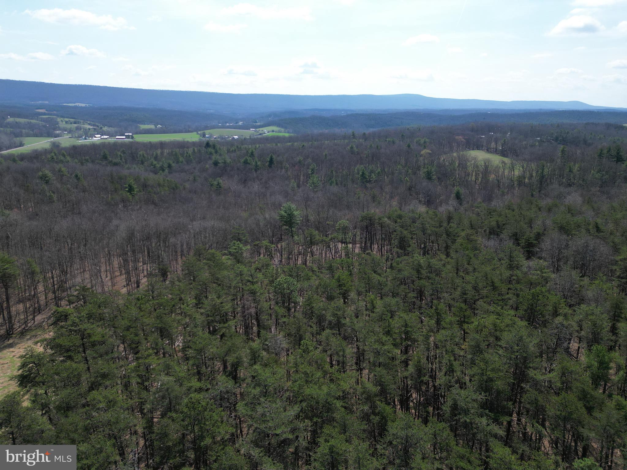 Martin Lane Berkeley Springs, WV 25411 - Photo 10 of 29 a view of an outdoor space with mountain view