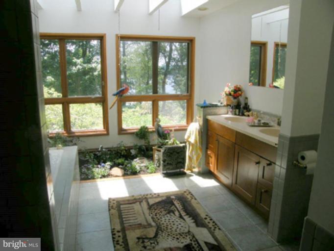 820 Knight Island Road Earleville, MD 21919 - Photo 25 of 30 garden in the bath
