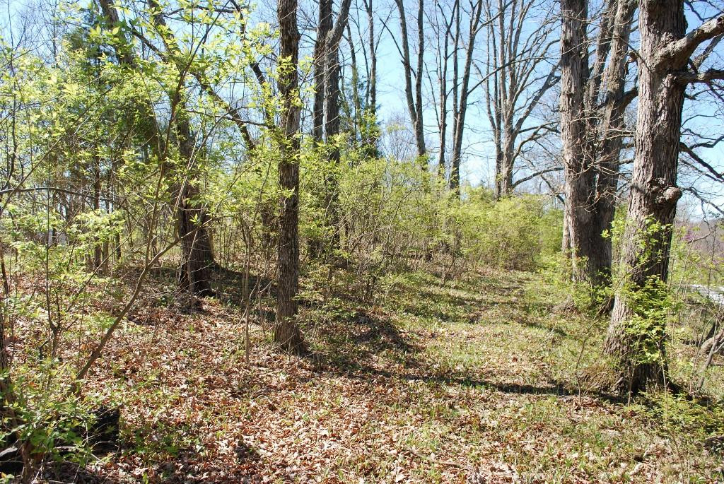 4823 Whites Road Latonia, KY 41015 - Photo 9 of 10 Gallery Image 9