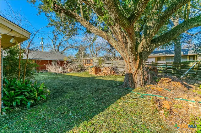 a view of yard with tree